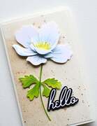 Graceful Anemone - Craft Die