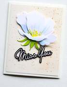 Miss You Debut Script - Craft Die