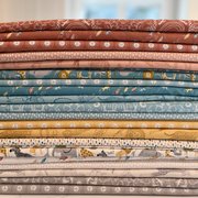 Noahs Ark Hope Sky - Quilt Fabric