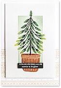 Timber and Tidings - Cling Stamp