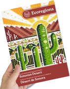 Sonoran Desert - Cross Stitch Book, different perspective #2. Select this picture to zoom in