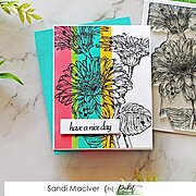 Wild Daisies - Stamp Set, different perspective #1. Select this picture to zoom in