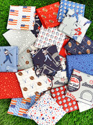 Play Ball Teams - Dolphin - Quilt Fabric
