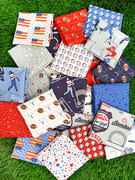 Play Ball Teams - Dolphin - Quilt Fabric