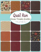 Quail Run Triangle Pumpkin - Quilt Fabric