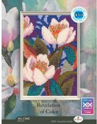 Revelation of Color #4 - Cross Stitch Kit