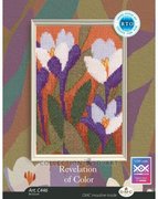 Revelation of Color #3 - Cross Stitch Kit