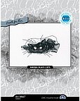Among Black Cats - Cross Stitch Kit