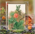 In The Moment - Orange Bud - Cross Stitch Kit