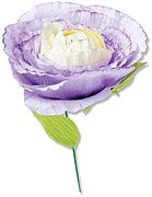 Spring Bloom - Craft Die Set