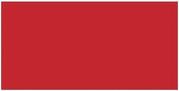 Tombow Dual Brush Marker - 856 Poppy Red