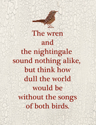 The Wren Sampler - Cross Stitch Pattern