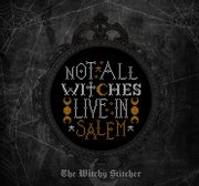 Not All Witches Live In Salem - Cross Stitch Pattern, different perspective #1. Select this picture to zoom in
