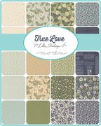 True Love Magic Dot Robins Egg - Quilt Fabric