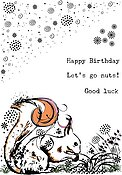 Woodland Walk - Sammy Squirrel - Clear Stamp Set