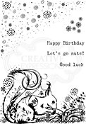 Woodland Walk - Sammy Squirrel - Clear Stamp Set