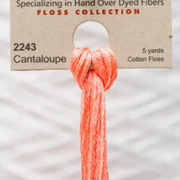 Weeks Dye Works - Cantaloupe #2243 Pink