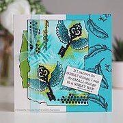 Two Feathers - Clear Singles Stamp