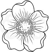 Mini Scented Bloom - Woodware Clear Stamp