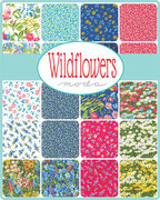 Wildflowers 2024 - Jelly Roll