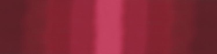 Ombre Burgundy - Quilt Fabric
