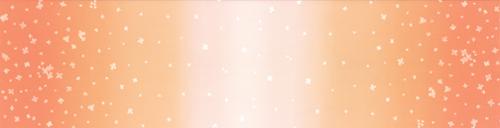 Ombre Bloom Coral - Quilt Fabric
