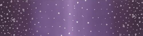 Ombre Bloom Aubergine - Quilt Fabric