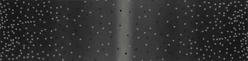 108" Ombre Confetti Onyx - Quilt Fabric