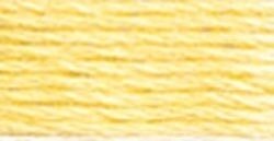 Pearl Cotton Size 3 DMC Floss #3078
