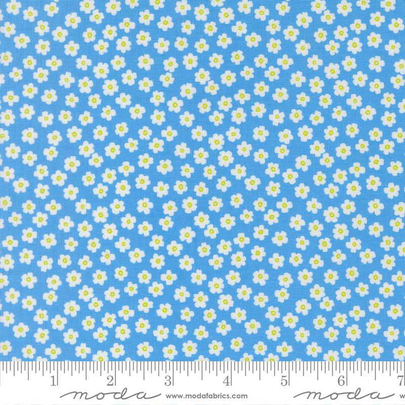 True To Hue Daisy Blue My Mind - Quilt Fabric