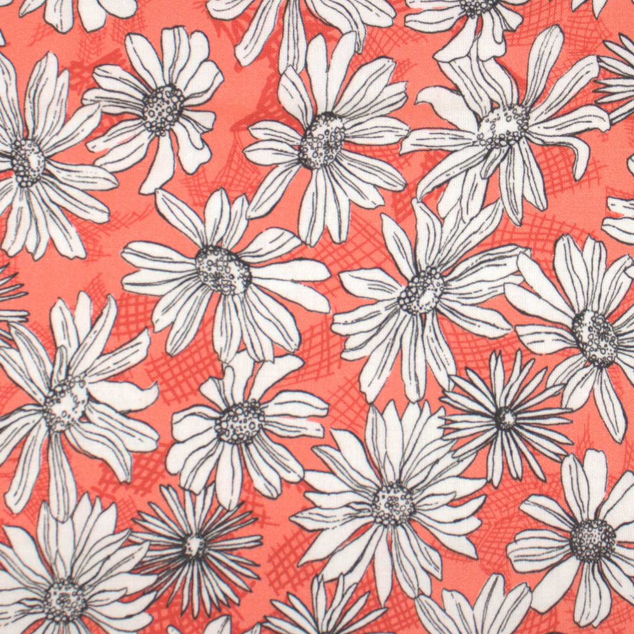 Garden Society Coral - Daisy Sketch - Quilt Fabric