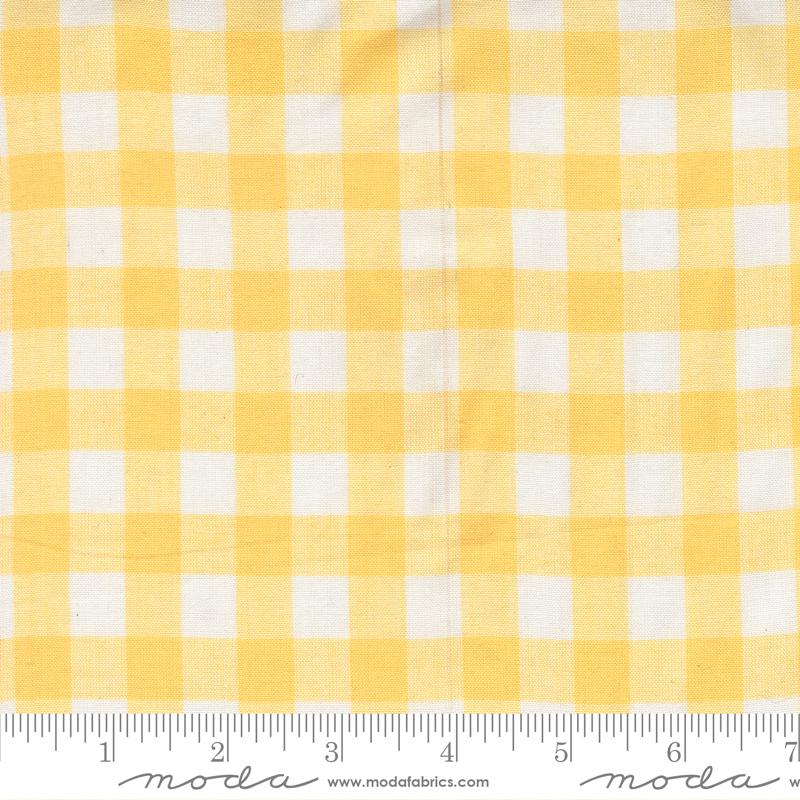Summer Solstice Gingham Afternoon - Quilt Fabric