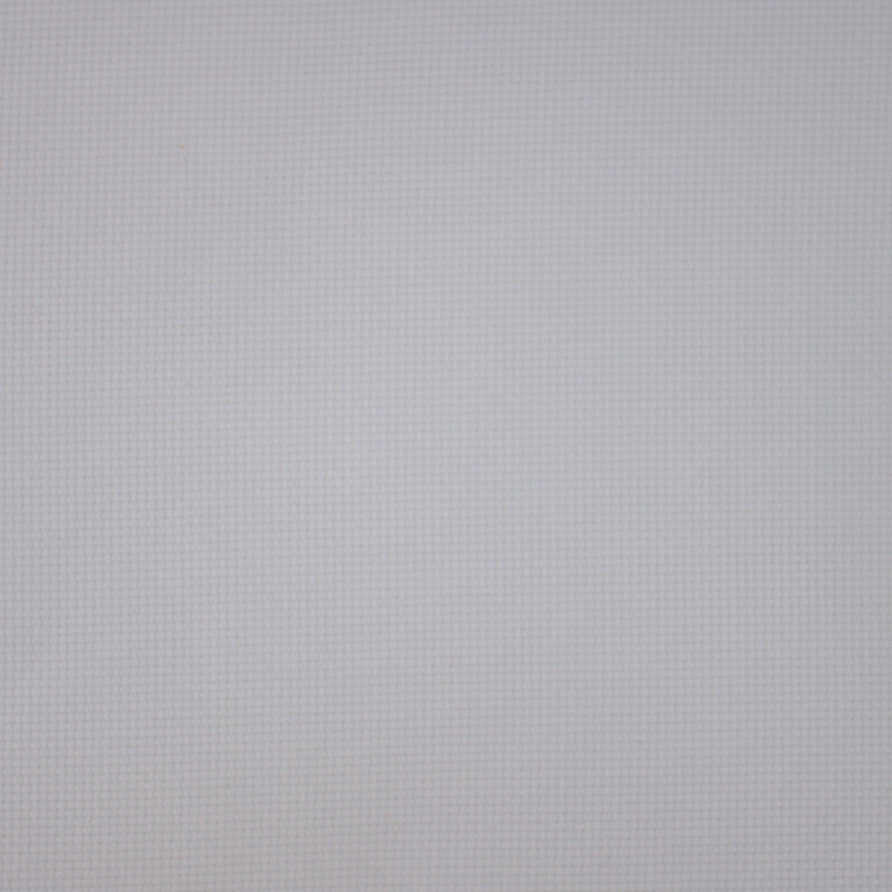 16 Count White/Silver Aida Fabric 9x17