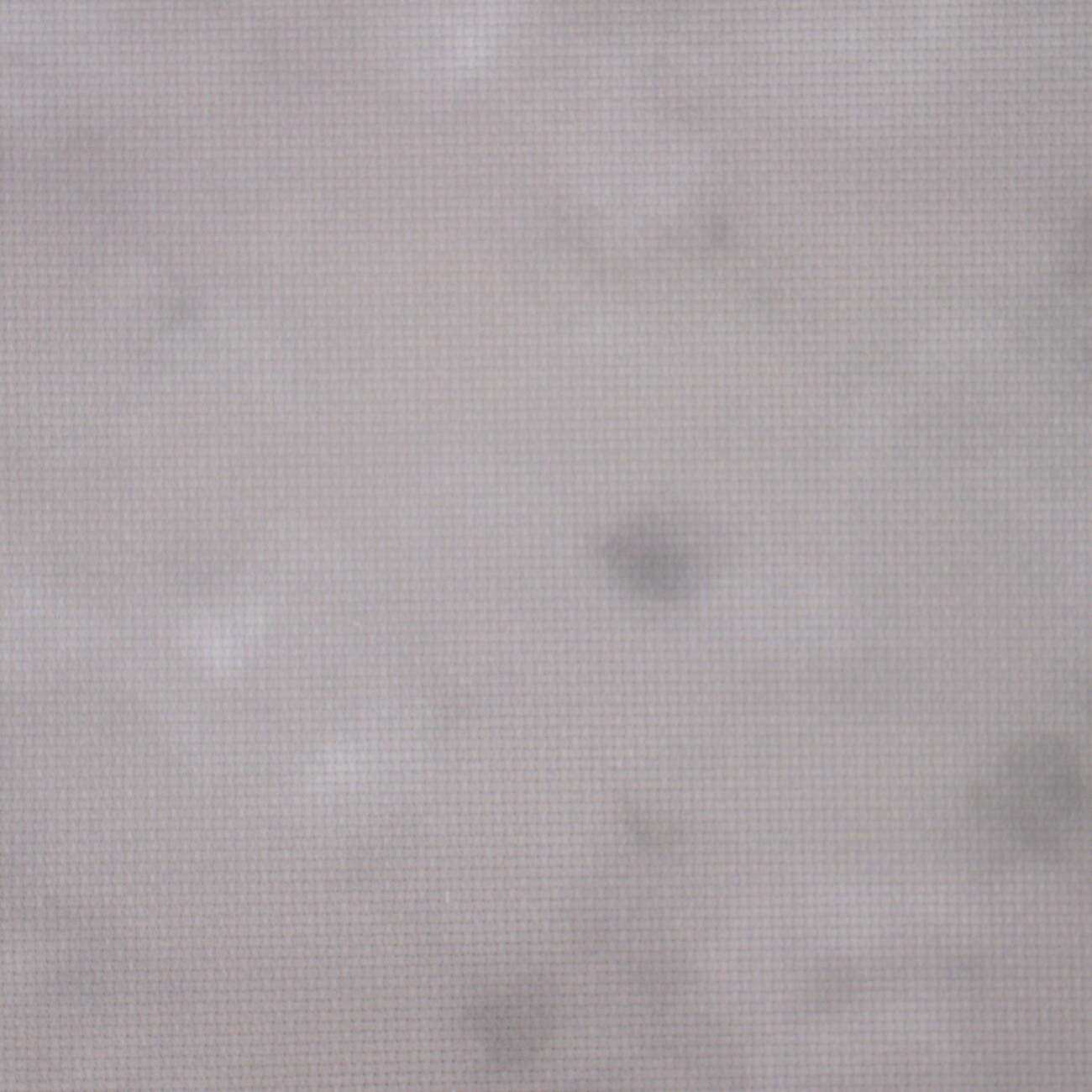 16 Count Spooky Hollow Aida Fabric 19x35