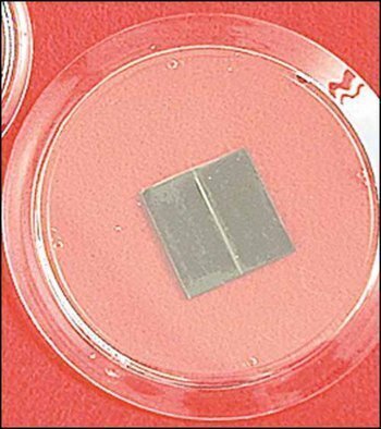 3 Inch Magnet Frame
