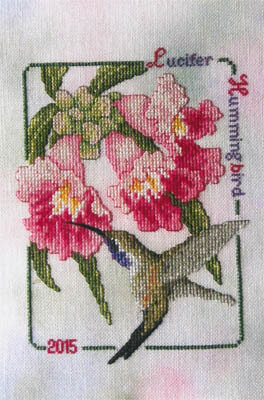 Lucifer Hummingbird (2015 Commemorative)