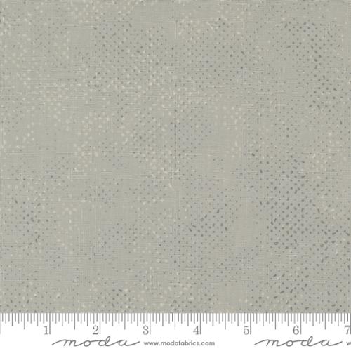 Spotted Stone - Quilt Fabric