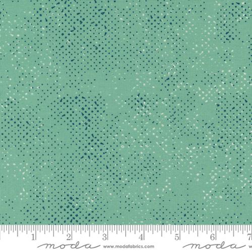 Spotted Chill - Quilt Fabric