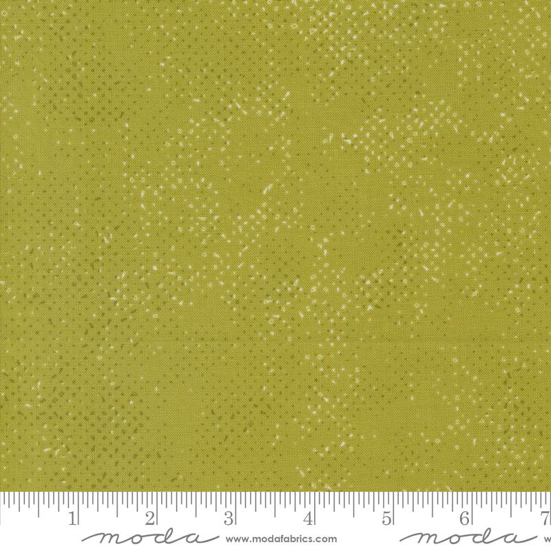 Flirtation Spotted Zest - Quilt Fabric