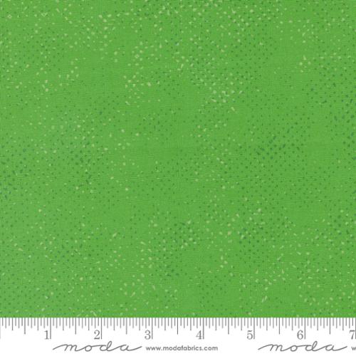 Spotted Kelly - Quilt Fabric