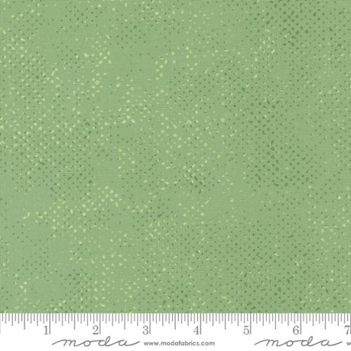 Spotted Celadon - Quilt Fabric