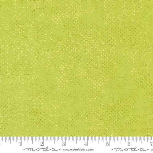Spotted Limeage - Quilt Fabric