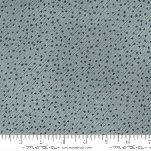 Astra Starlet Hubble - Quilt Fabric