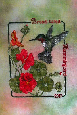 Broad-Tailed Hummingbird (2017 Commemorative)