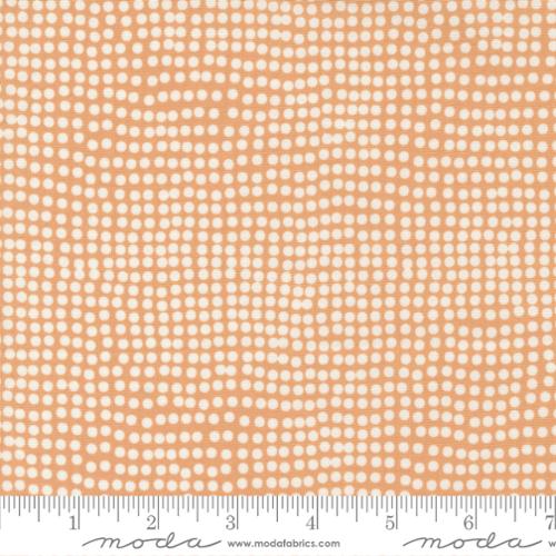 Frisky Dots Peachy - Quilt Fabric