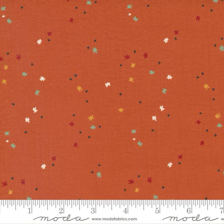 Frisky Twinkle Cheeky - Quilt Fabric