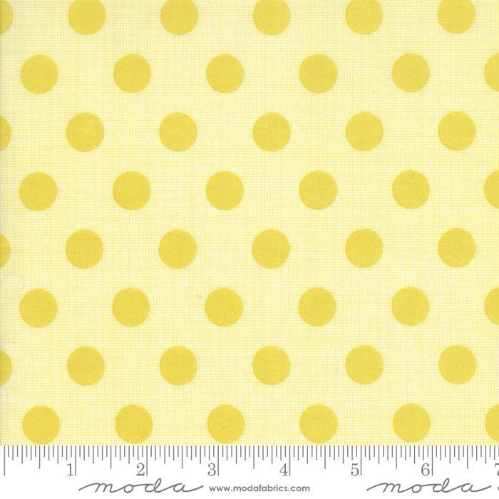 Circulus Maise - Quilt Fabric