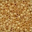 Mill Hill 18822 Golden Opal Glass Pony Beads - Size 8/0