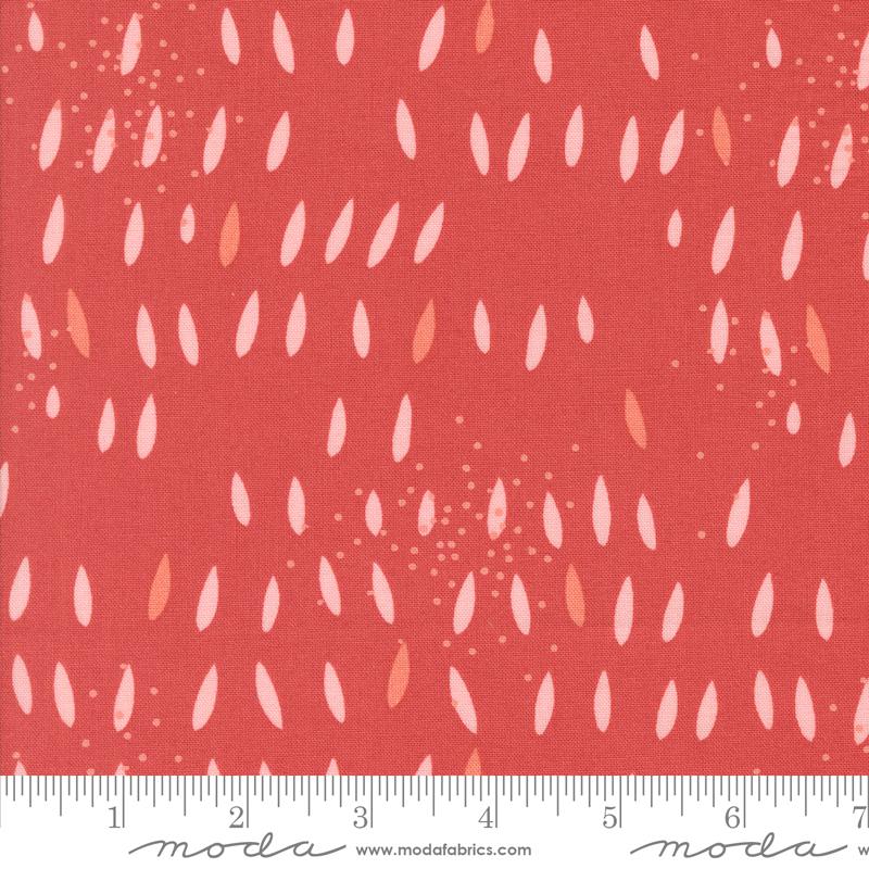 Simply Cozy Seeds Persimmon - Quilt Fabric