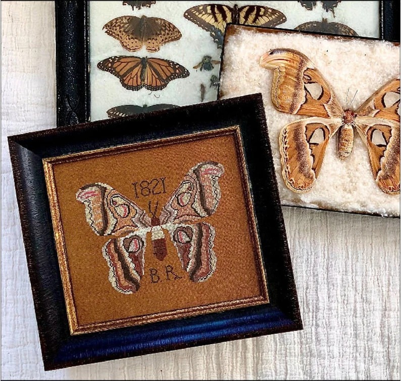 B.R.'s Moth - Cross Stitch Pattern